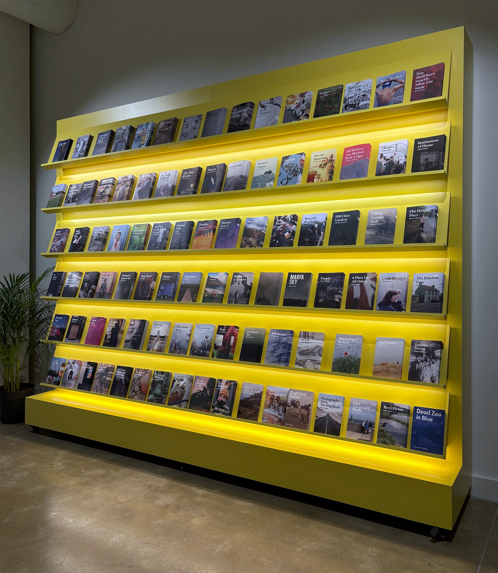TLP Editions display at the International Centre for the Image